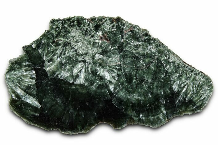 Polished Seraphinite Slab - Korshunovkiy Mine, Siberia #354277
